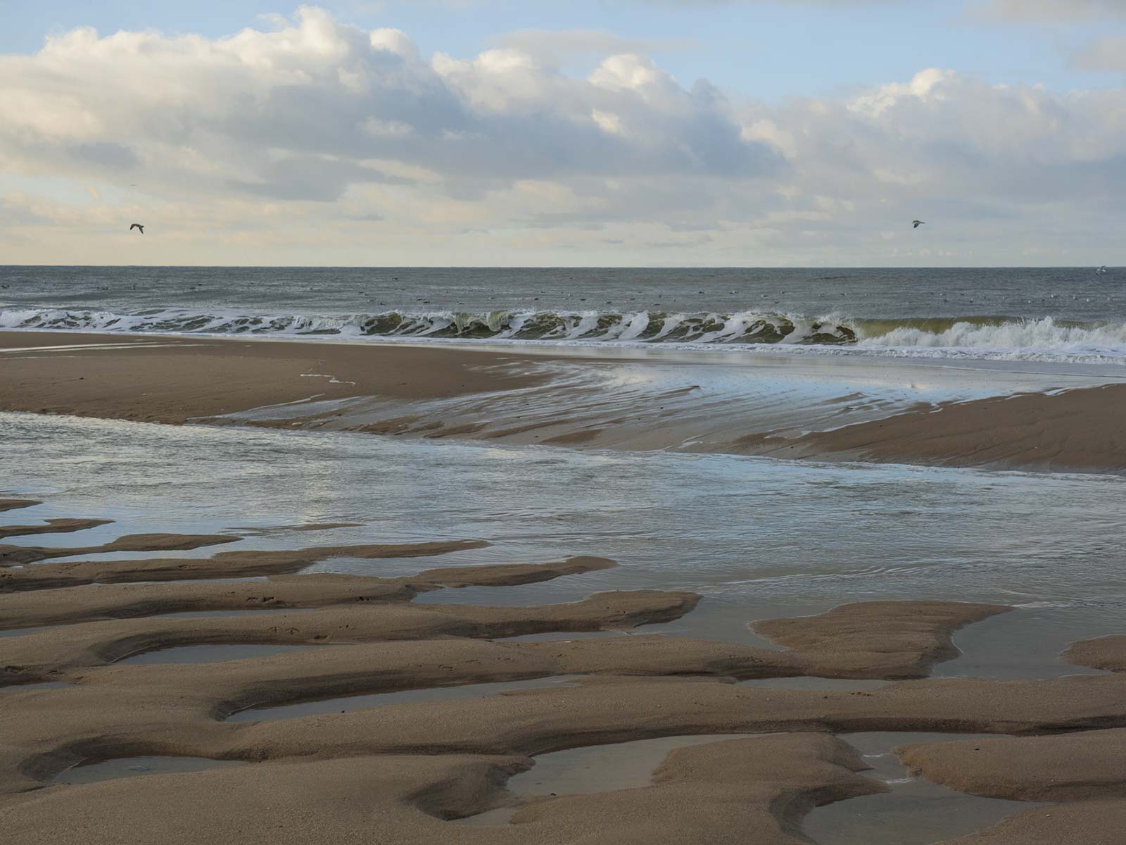 Sylt-Impressionen16